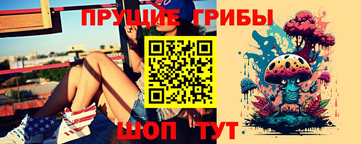 Галлюциногенные грибы Psilocybe  Галлюциногенные грибы Psilocybine cubensis  Канаш  Вход с VPN 